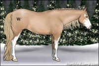 Horse Color:Chestnut Pearl Sabino
