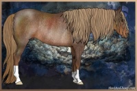 Horse Color:Liver Chestnut Rabicano 