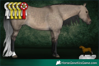 Horse Color:Brown Dun