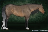 Horse Color:Brown Dun