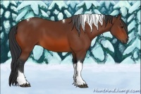Horse Color:Bay Tobiano