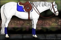 Horse Color:Silver Bay Dun Tobiano Frame Snowcap