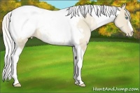 Horse Color:Silver Smoky Grullo Pearl Tobiano Snowcap 