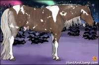 Horse Color:White Spotted Silver Black Tobiano  Brindle