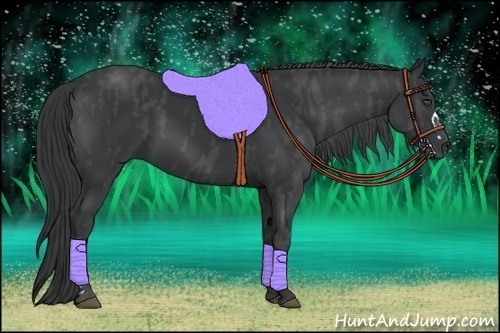 Horse Color:Black  Brindle