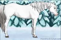Horse Color:Brown Dun Snowflake Varnish Rabicano