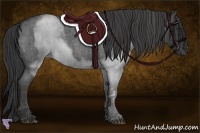 Horse Color:Blue Roan Brindle