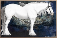 Horse Color:White Spotted Liver Chestnut Appaloosa 