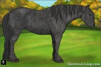 Horse Color:Black Frame  Brindle