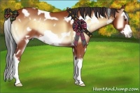 Horse Color:White Spotted Bay Onyx Splash Frame