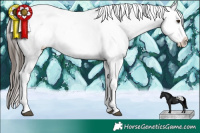 Horse Color:Liver Chestnut Sabino Splash Varnish 