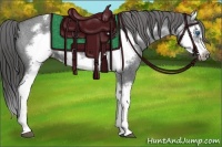 Horse Color:Blue Roan Splash Frame Appaloosa 