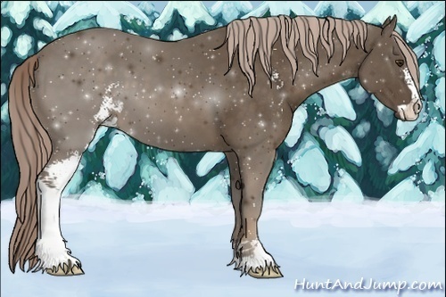 Horse Color:Chocolate Palomino Sabino 