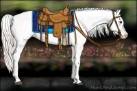 Horse Color:Silver Black Splash Appaloosa