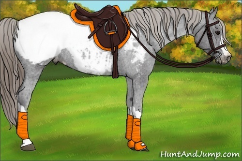 Horse Color:Smoky Black Appaloosa Rabicano 