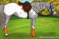 Horse Color:Smoky Black Appaloosa Rabicano
