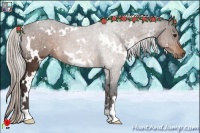 Horse Color:White Spotted Silver Bay 