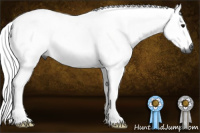 Horse Color:Gray Buckskin Dun Tobiano