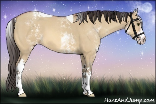 Horse Color:White Spotted Amber Champagne Dun Tobiano 