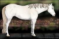 Horse Color:White Spotted Perlino Ice Onyx 