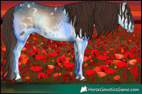 Horse Color:White Spotted Liver Red Onyx Splash 