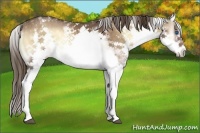 Horse Color:White Spotted Liver Red Onyx Splash Frame 