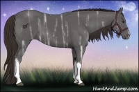 Horse Color:Liver Chestnut Ice 