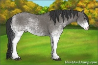 Horse Color:White Spotted Grullo Roan
