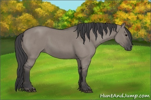 Horse Color:Smoky Grullo Roan 
