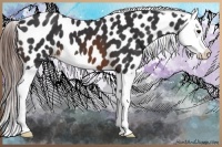 Horse Color:Brown Splash Near Leopard 