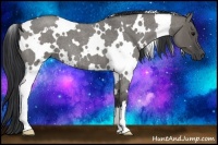 Horse Color:White Spotted Grullo Roan