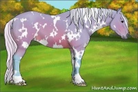 Horse Color:Watercolor White Spotted Silver Brown 