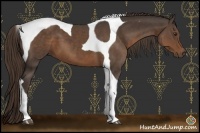 Horse Color:Liver Chestnut Tobiano 