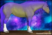 Horse Color:Watercolor Bay Roan 