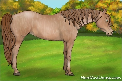 Horse Color:Brown Pearl  Brindle