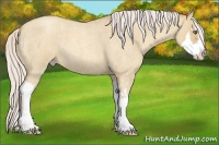 Horse Color:Silver Classic Champagne Roan Dun Splash Frame