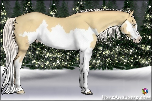Horse Color:Silver Classic Champagne Dun Splash Frame 