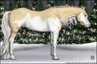 Horse Color:Silver Classic Champagne Dun Splash Frame 