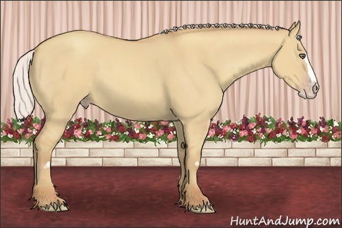 Horse Color:Silver Classic Champagne Dun Splash Frame 