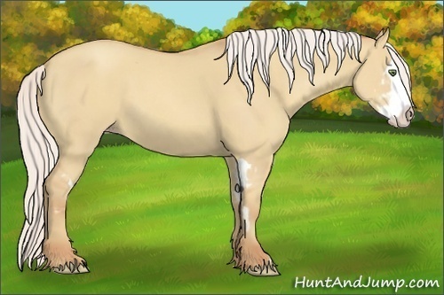 Horse Color:Silver Classic Champagne Dun Splash Frame