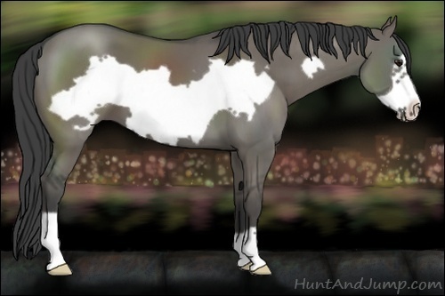 Horse Color:Smoky Grullo Frame