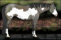 Horse Color:Smoky Grullo Frame 