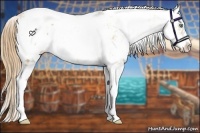 Horse Color:Gold Champagne Pearl Sabino