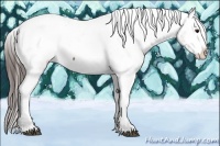 Horse Color:Brown Snowcap 