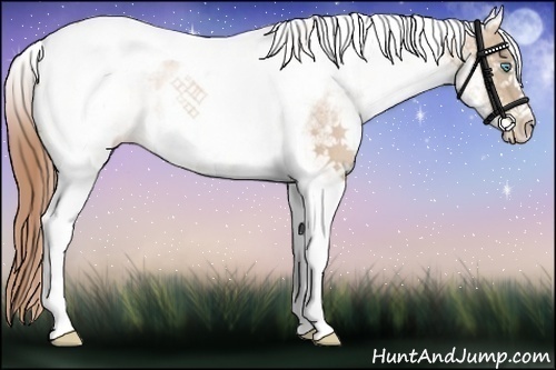 Horse Color:White Spotted Buckskin Pearl Tobiano Rabicano 
