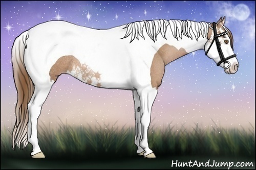 Horse Color:Brown Pearl Splash Tobiano Rabicano 