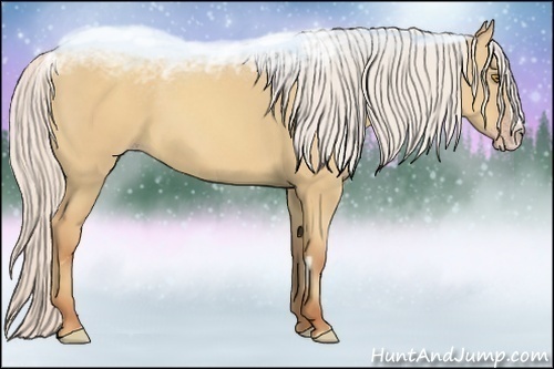 Horse Color:Silver Classic Champagne Dun Splash Frame 