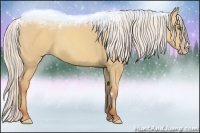 Horse Color:Silver Classic Champagne Dun Splash Frame