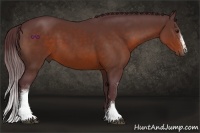 Horse Color:White Spotted Chocolate Bay 