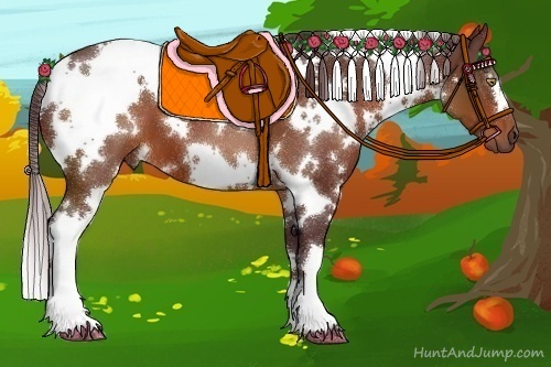 Horse Color:White Spotted Chocolate Bay 